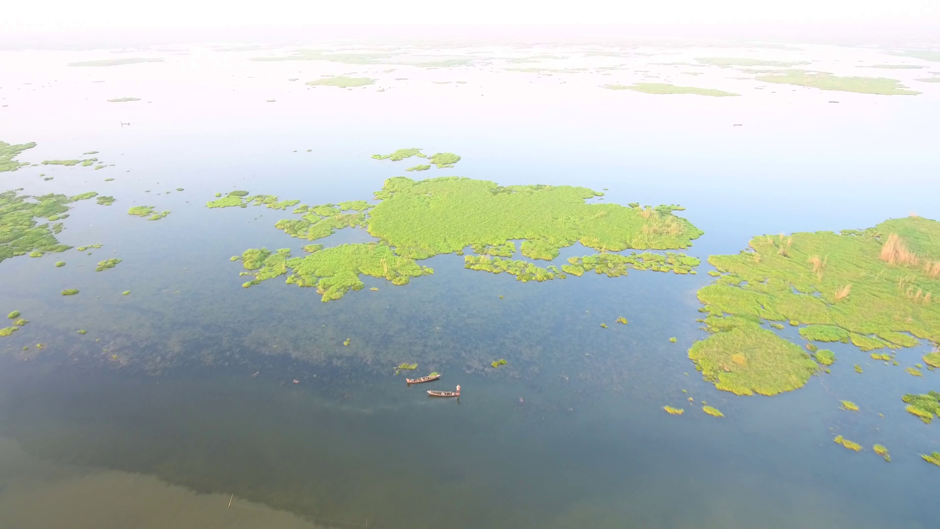 Bird's eye view of Bakhira Wetland